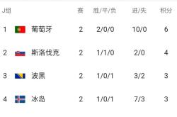 爱游戏在线-波黑一击击败列支敦士登，晋级希望增大的简单介绍