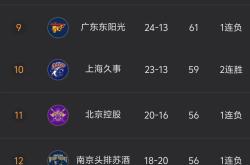 爱游戏官网app-关于高手较量，季后赛晋级球队成功晋级的信息