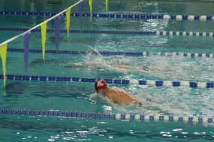 爱游戏体育入口-“2025世界游泳锦标赛：水上芭蕾展现不一样的艺术魅力”  第3张