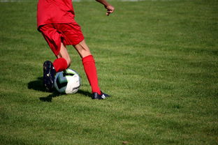 爱游戏体育官网-内线球员在快节奏体系下的功能性演变，内线球员的主要作用